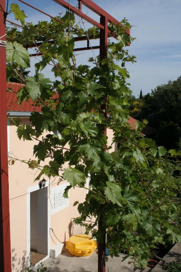 Apartments By The Sea Trpanj, Peljesac - 257 المظهر الخارجي الصورة